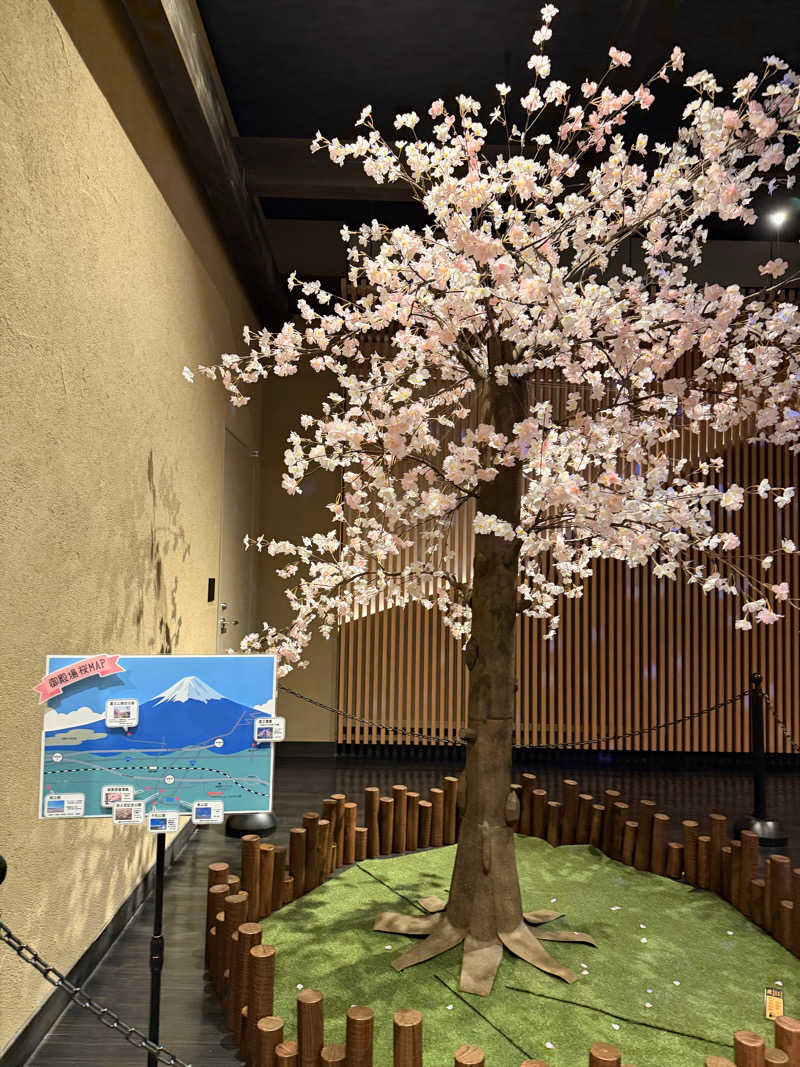 武田敏昭さんの木の花の湯(HOTEL CLAD)のサ活写真