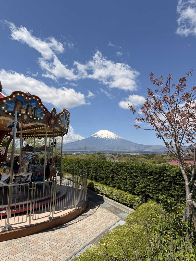武田敏昭さんの木の花の湯(HOTEL CLAD)のサ活写真