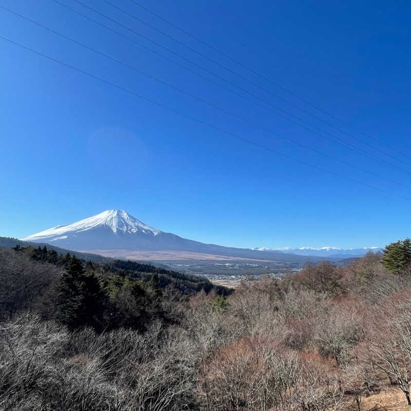 Ontama♨️さんの富士眺望の湯 ゆらりのサ活写真