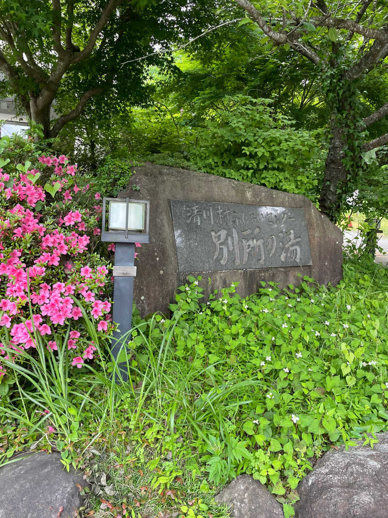 Ontama♨️さんの清川村ふれあいセンター 別所の湯のサ活写真