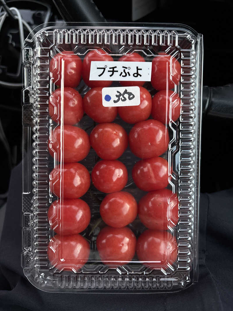 サウナ少年さんの道の駅 かみゆうべつ温泉チューリップの湯のサ活写真