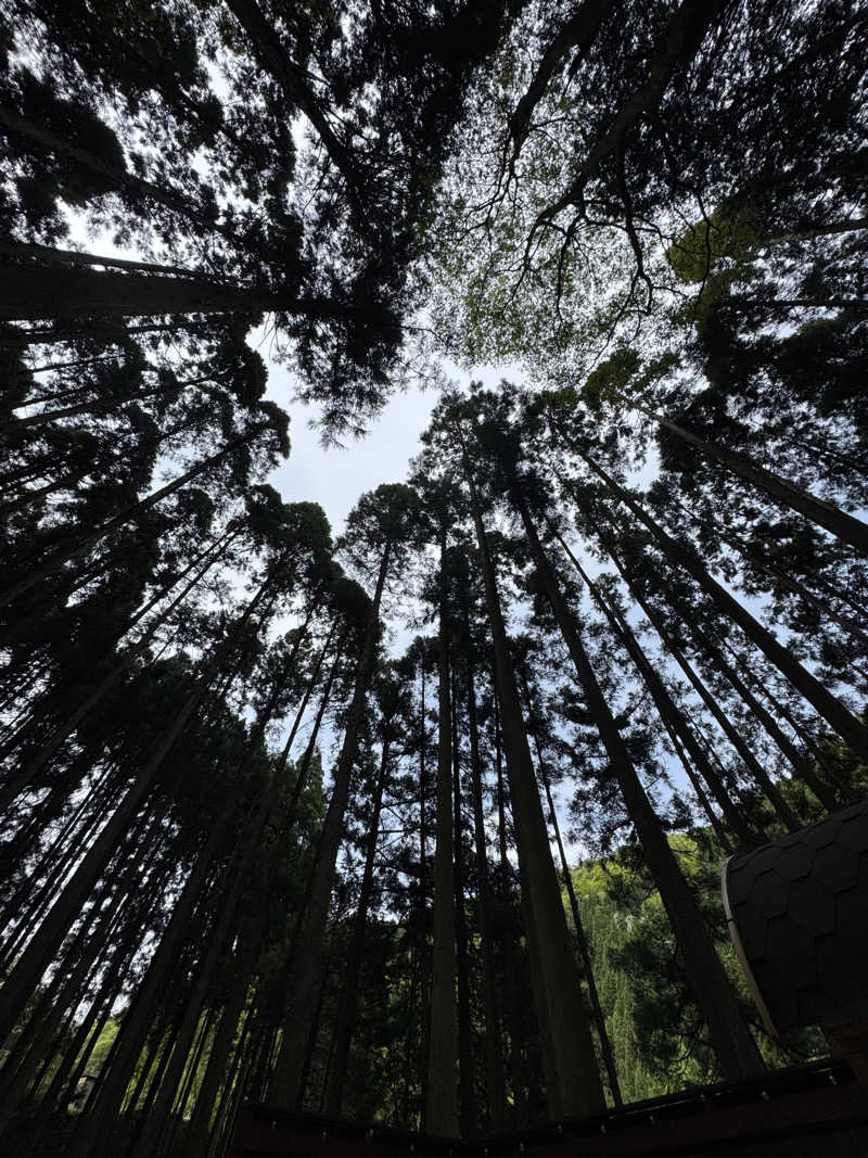 さのりさんのリバートリップオートキャンプ場のサ活写真