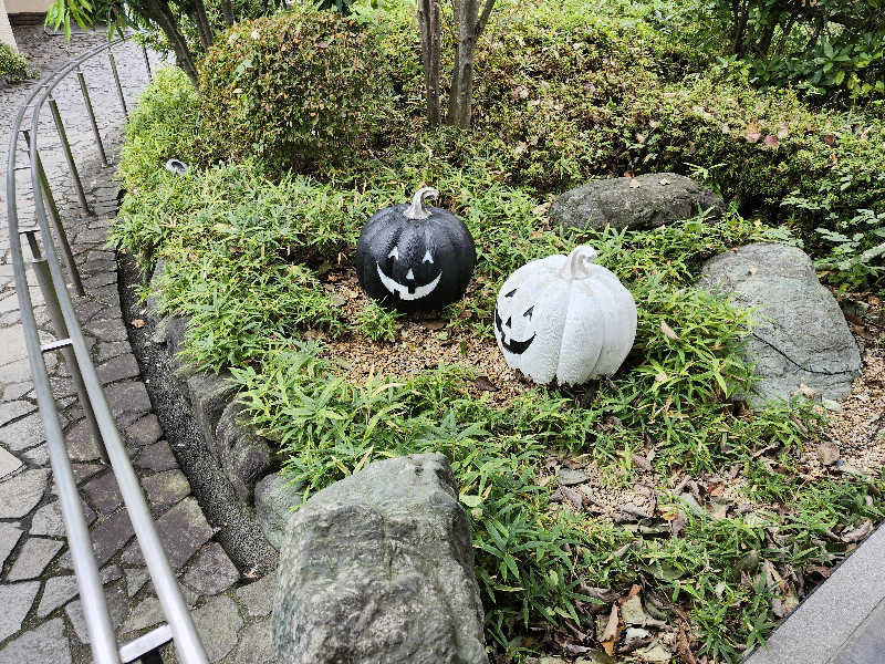 あすみさんの野天風呂 蔵の湯 東松山店のサ活写真