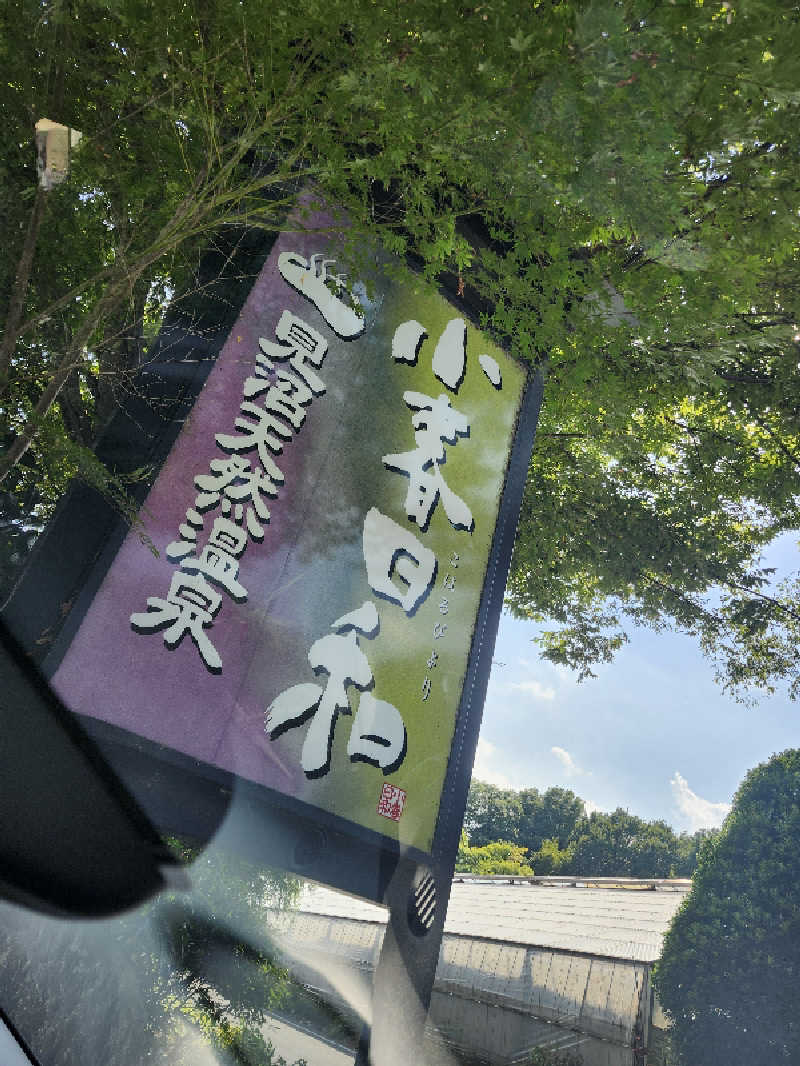 あすみさんの見沼天然温泉 小春日和のサ活写真