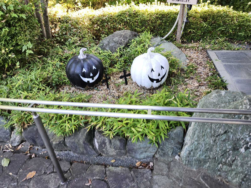 あすみさんの野天風呂 蔵の湯 東松山店のサ活写真