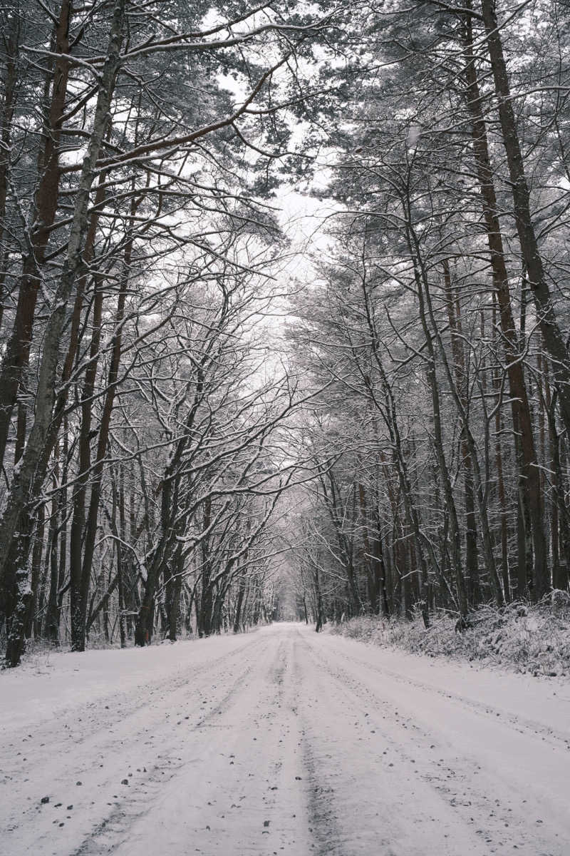 からきんさんののぞみサンピア佐久のサ活写真