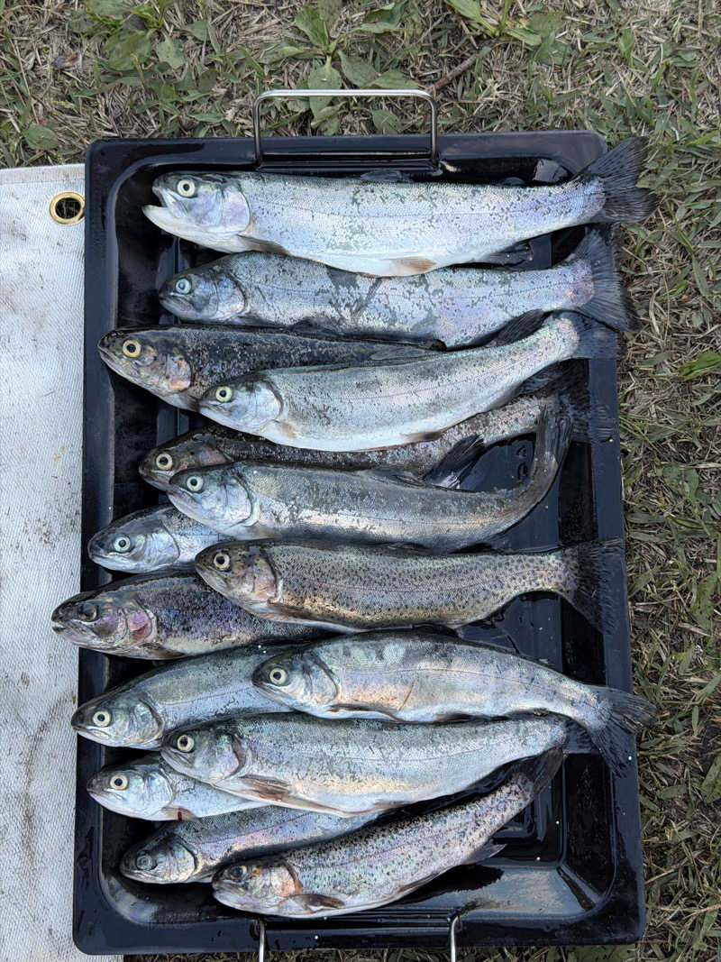 こーじろうさんの袋井温泉 和の湯(やわらぎのゆ)のサ活写真