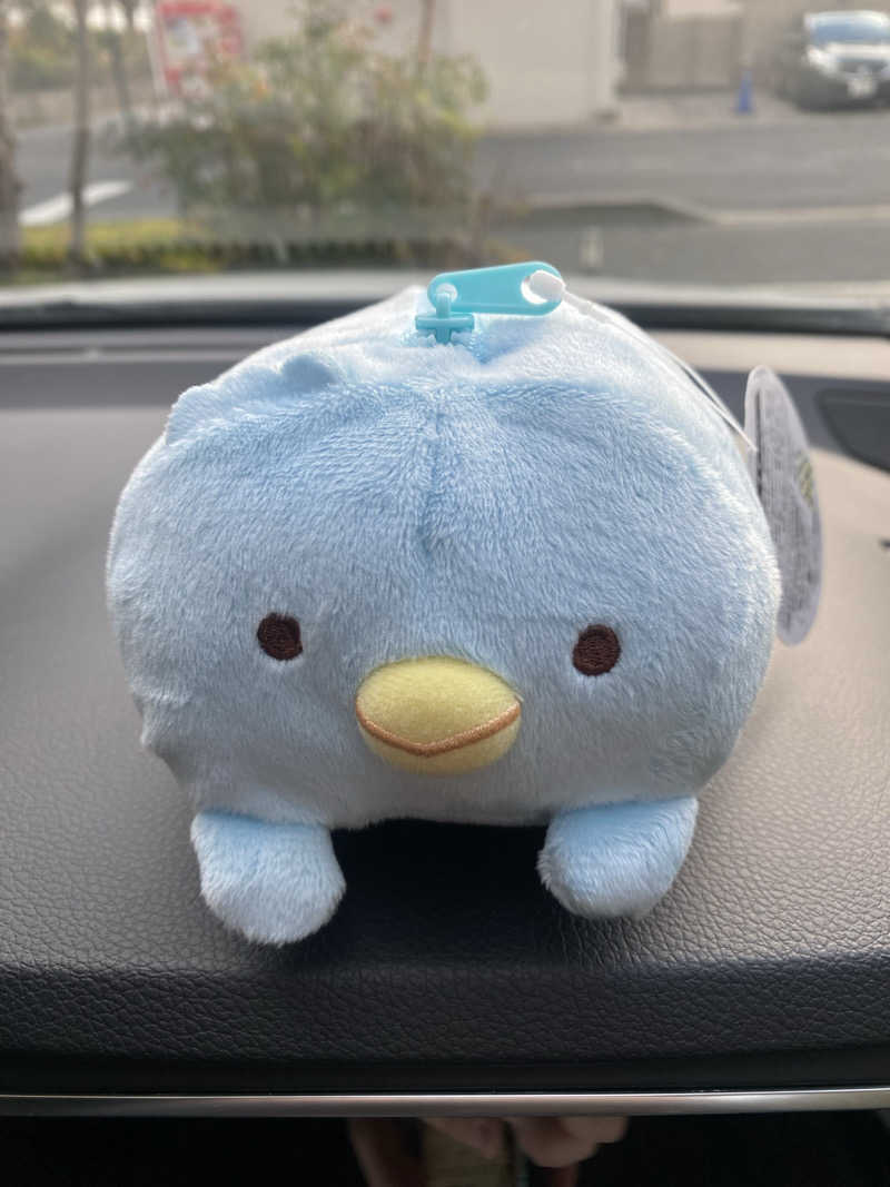 K5さんの湯乃泉 草加健康センターのサ活写真