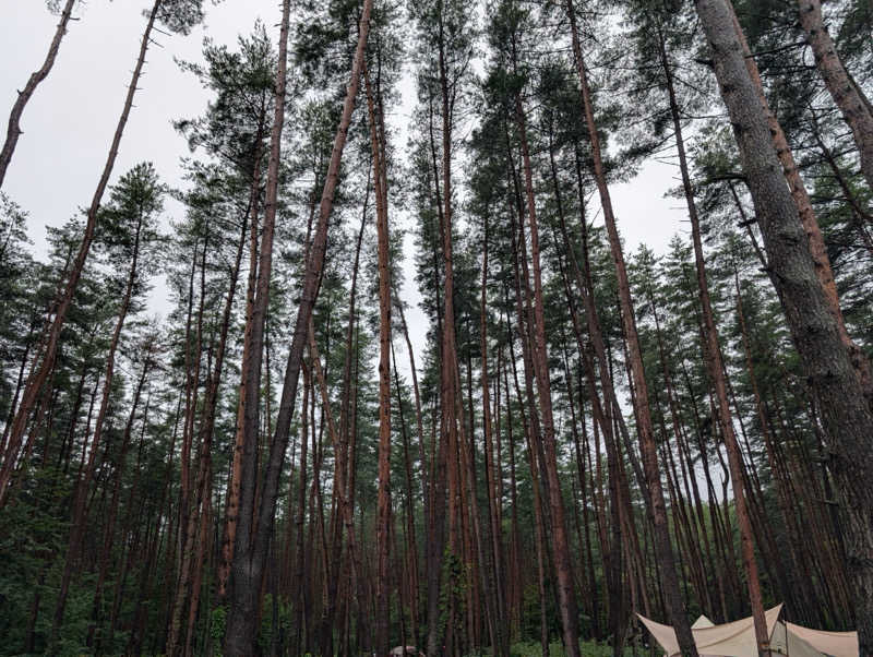 サウナダイスキさんのFOLKWOOD SAUNAのサ活写真