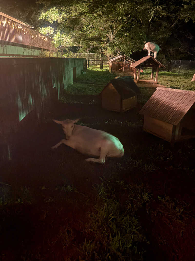 kushmanさんの八ヶ岳ホテル風かのサ活写真