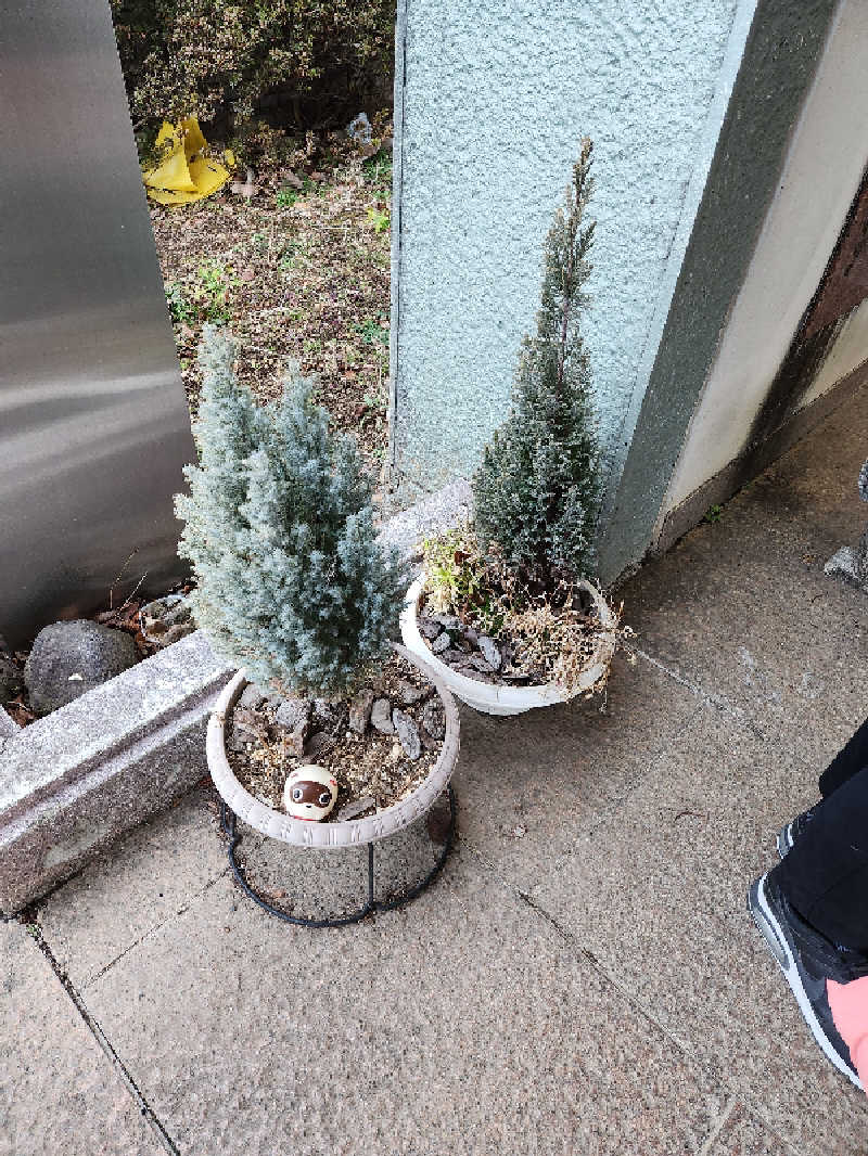 やっさんさんの泉温泉健康センターのサ活写真