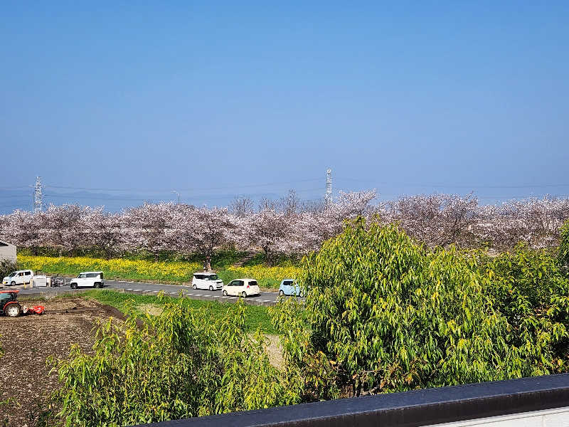 やっさんさんの坂戸天然温泉 ふるさとの湯のサ活写真