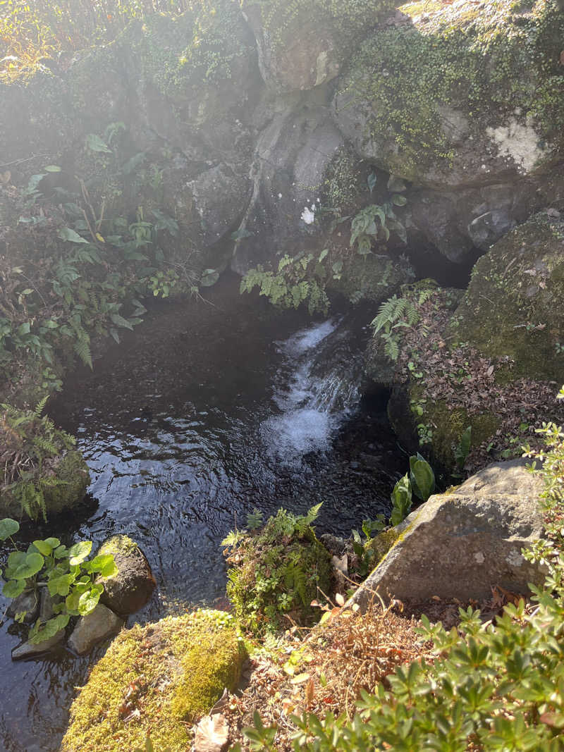 ととのいさんさんの箱根湯本温泉 天成園のサ活写真