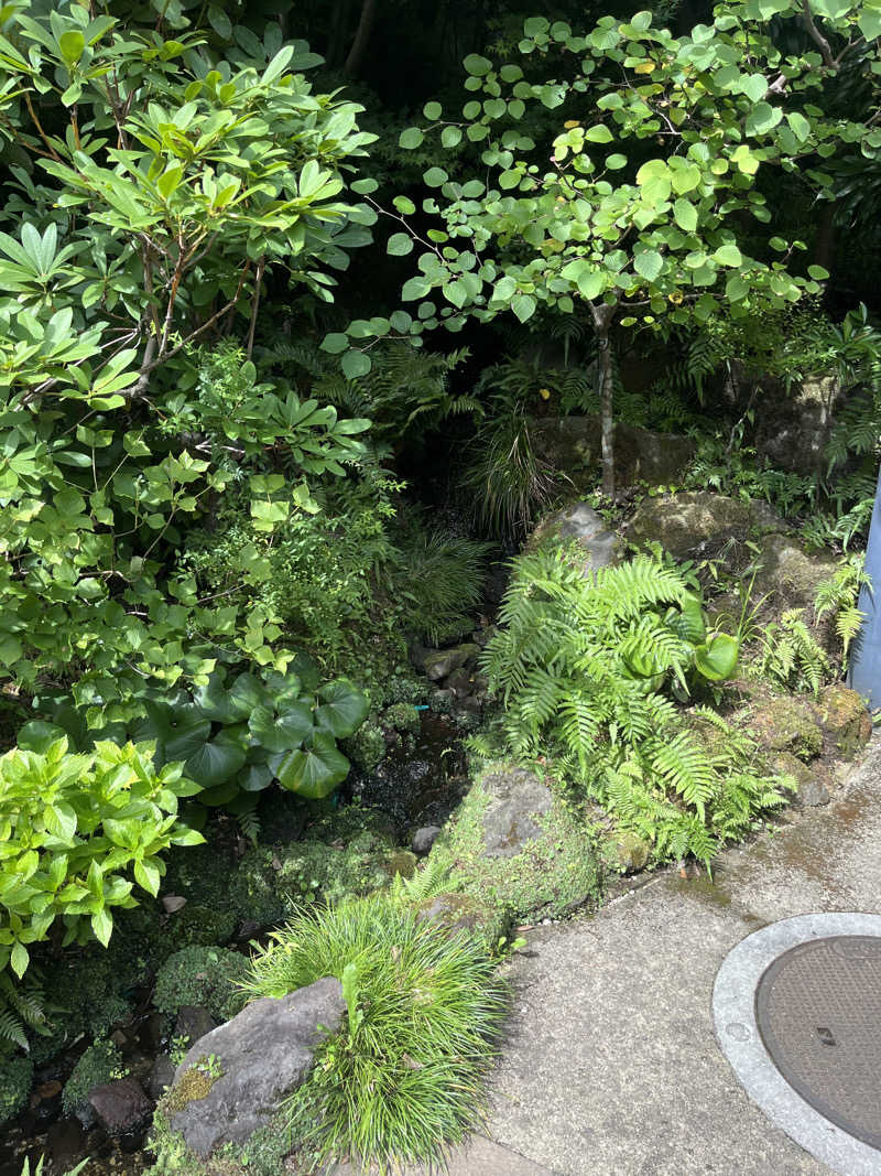 ととのいさんさんの箱根湯寮のサ活写真