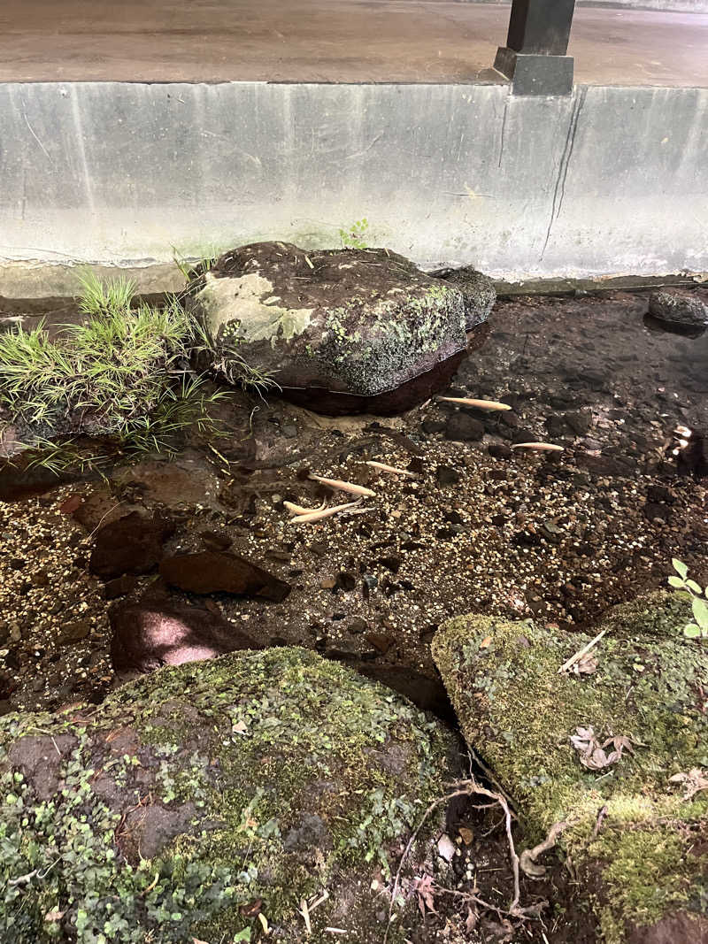 ととのいさんさんの箱根湯寮のサ活写真