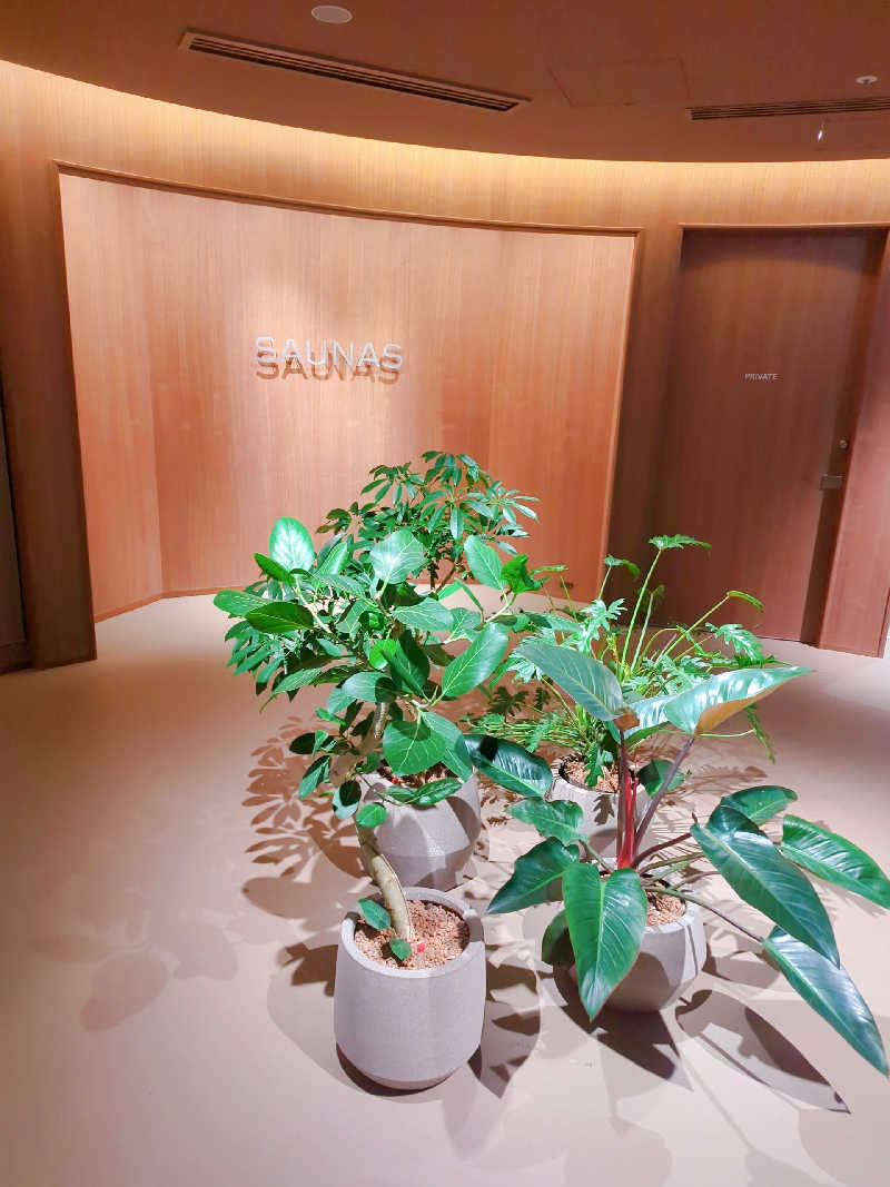 あさめしまえさんの高輪SAUNASのサ活写真