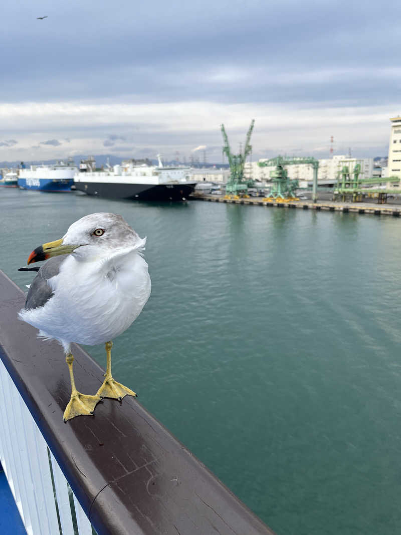 ジェイビーさんの天然温泉 萩の湯 ドーミーイン仙台駅前のサ活写真