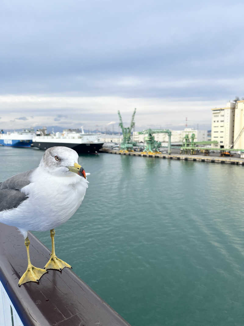 ジェイビーさんの天然温泉 萩の湯 ドーミーイン仙台駅前のサ活写真