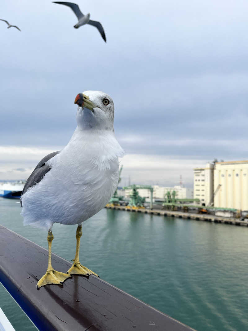 ジェイビーさんの天然温泉 萩の湯 ドーミーイン仙台駅前のサ活写真