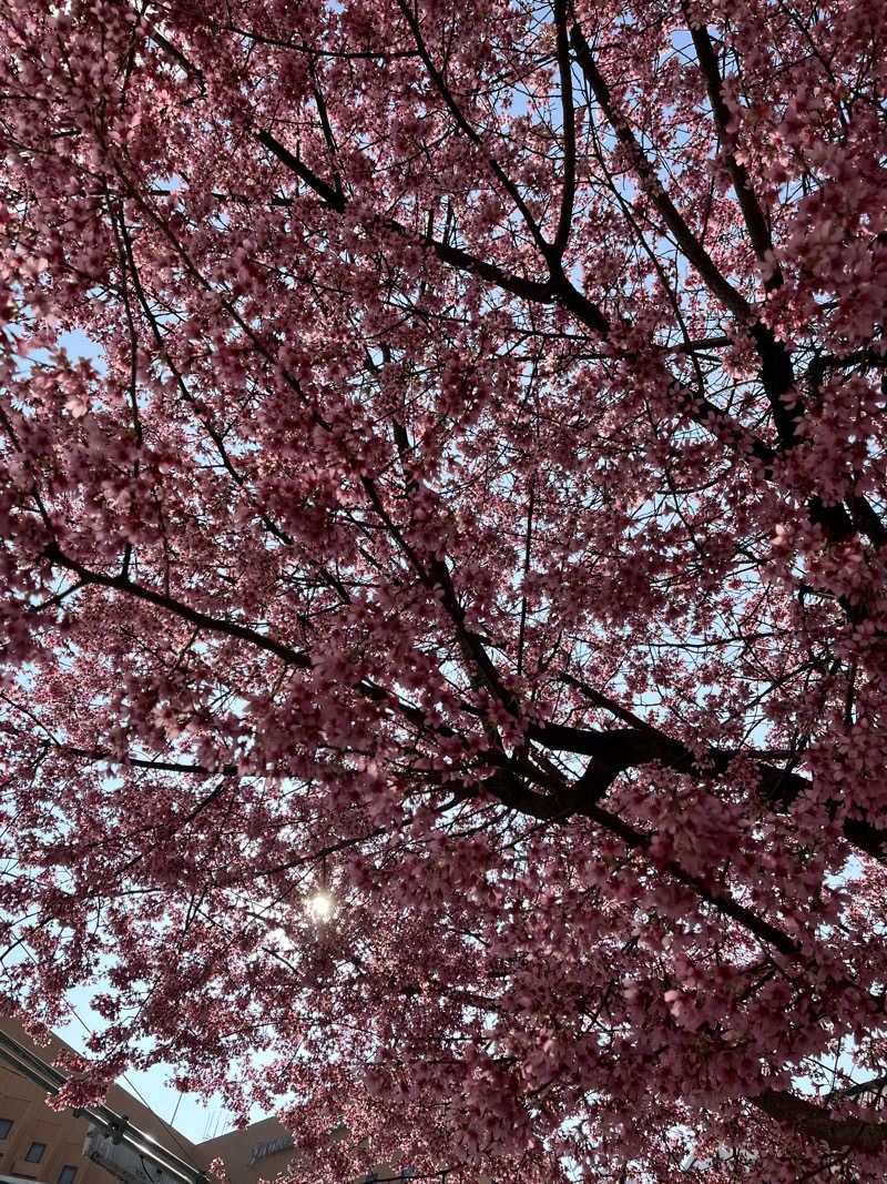 ジェイビーさんのなにわ健康ランド 湯〜トピアのサ活写真
