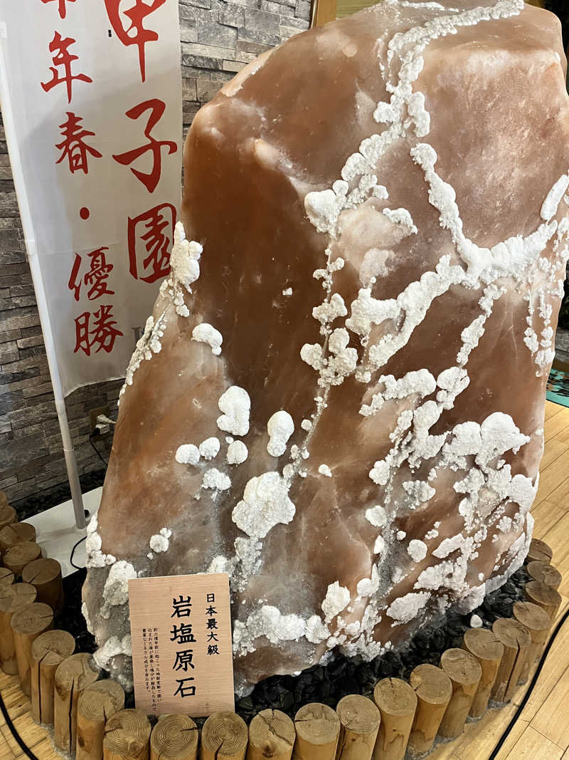 ジェイビーさんの蔵前温泉さらさのゆのサ活写真