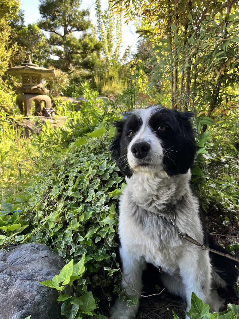 ジェイビーさんのおふろcafé あげき温泉のサ活写真