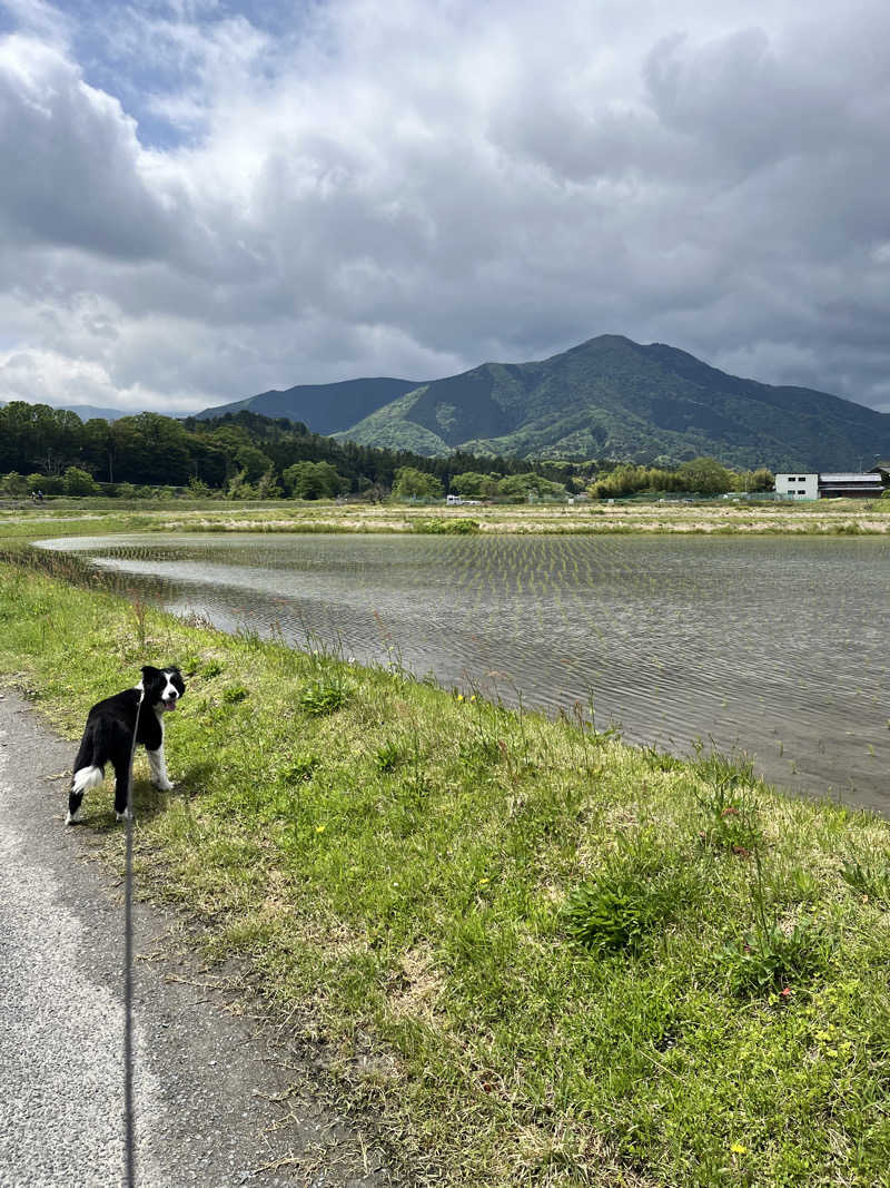 ジェイビーさんのおふろcafé あげき温泉のサ活写真