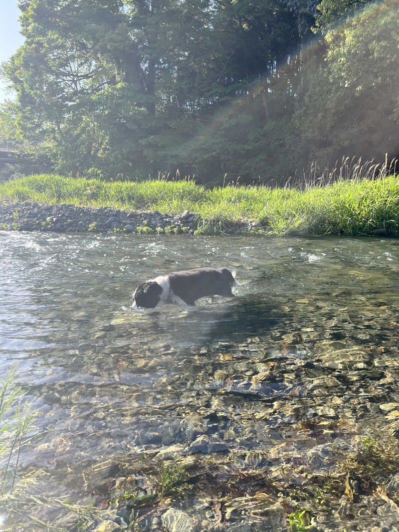 ジェイビーさんのおふろcafé あげき温泉のサ活写真