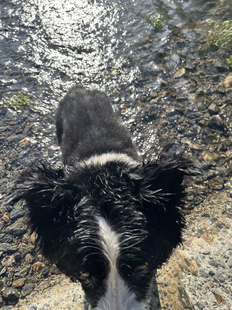 ジェイビーさんのおふろcafé あげき温泉のサ活写真