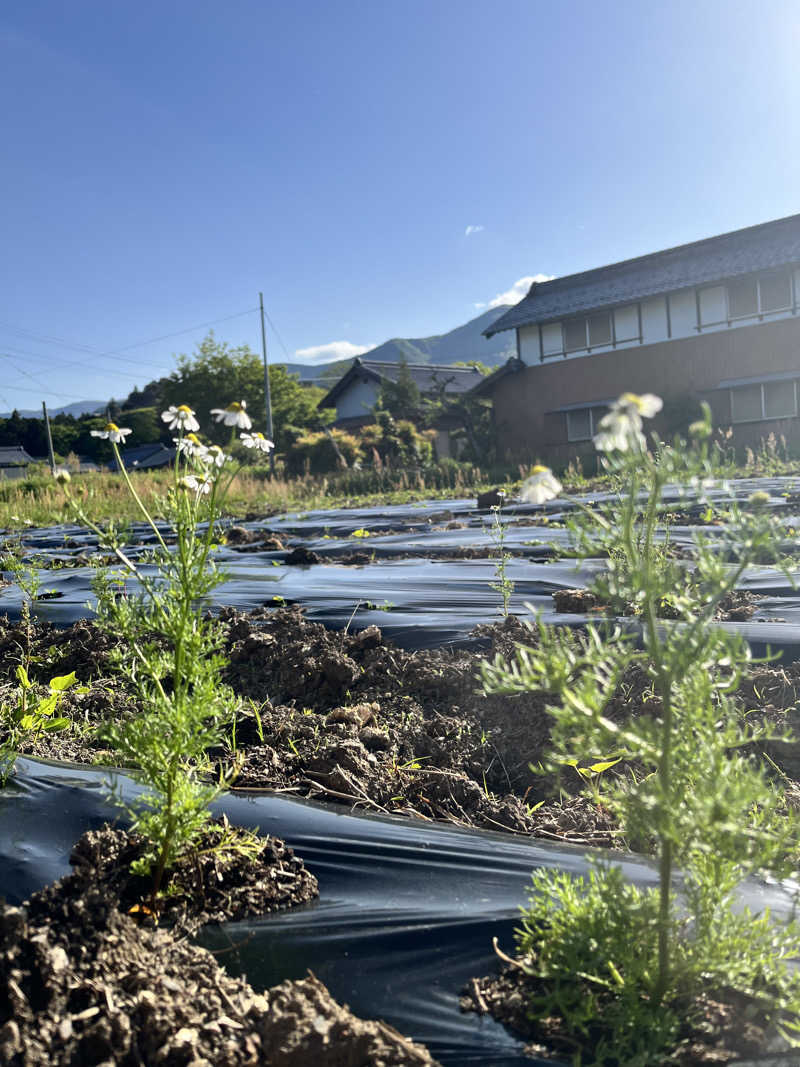 ジェイビーさんのおふろcafé あげき温泉のサ活写真