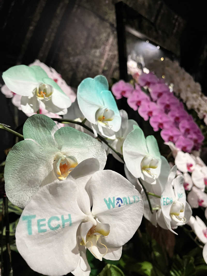 ジェイビーさんの大阪・関西万博 万博サウナ「太陽のつぼみ」のサ活写真