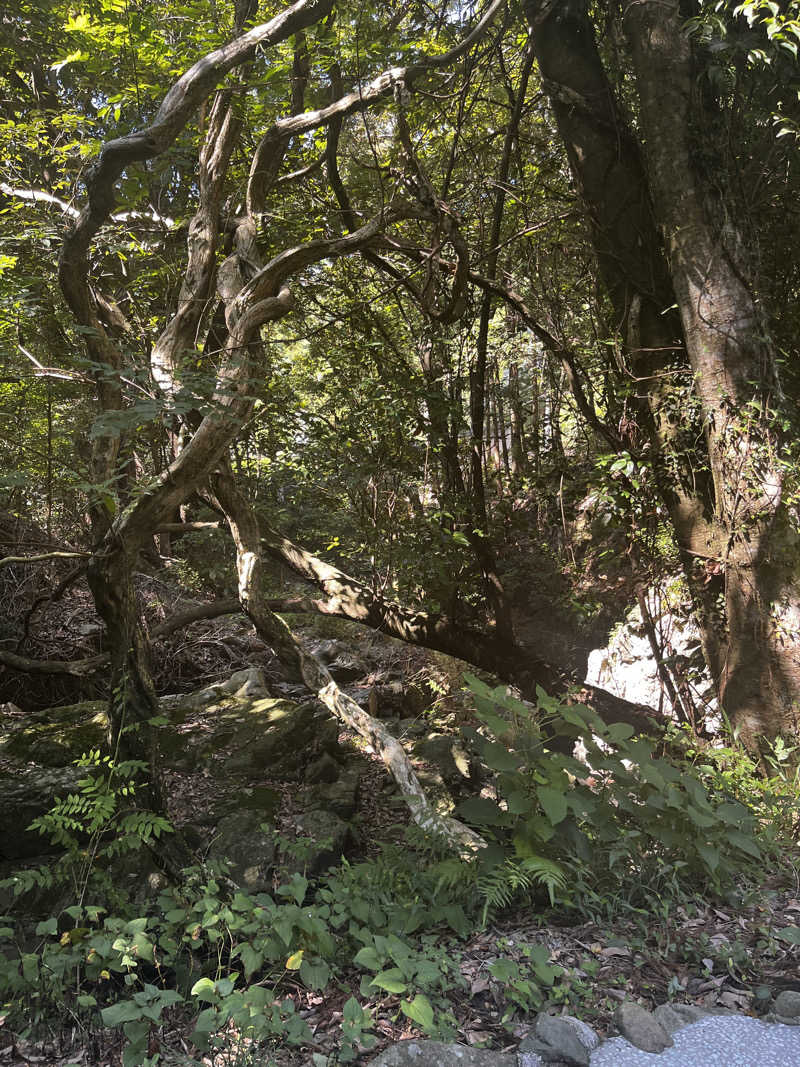 ジェイビーさんの二ノ丸温泉のサ活写真