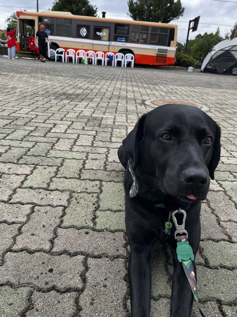 ジェイビーさんのサバスのサ活写真