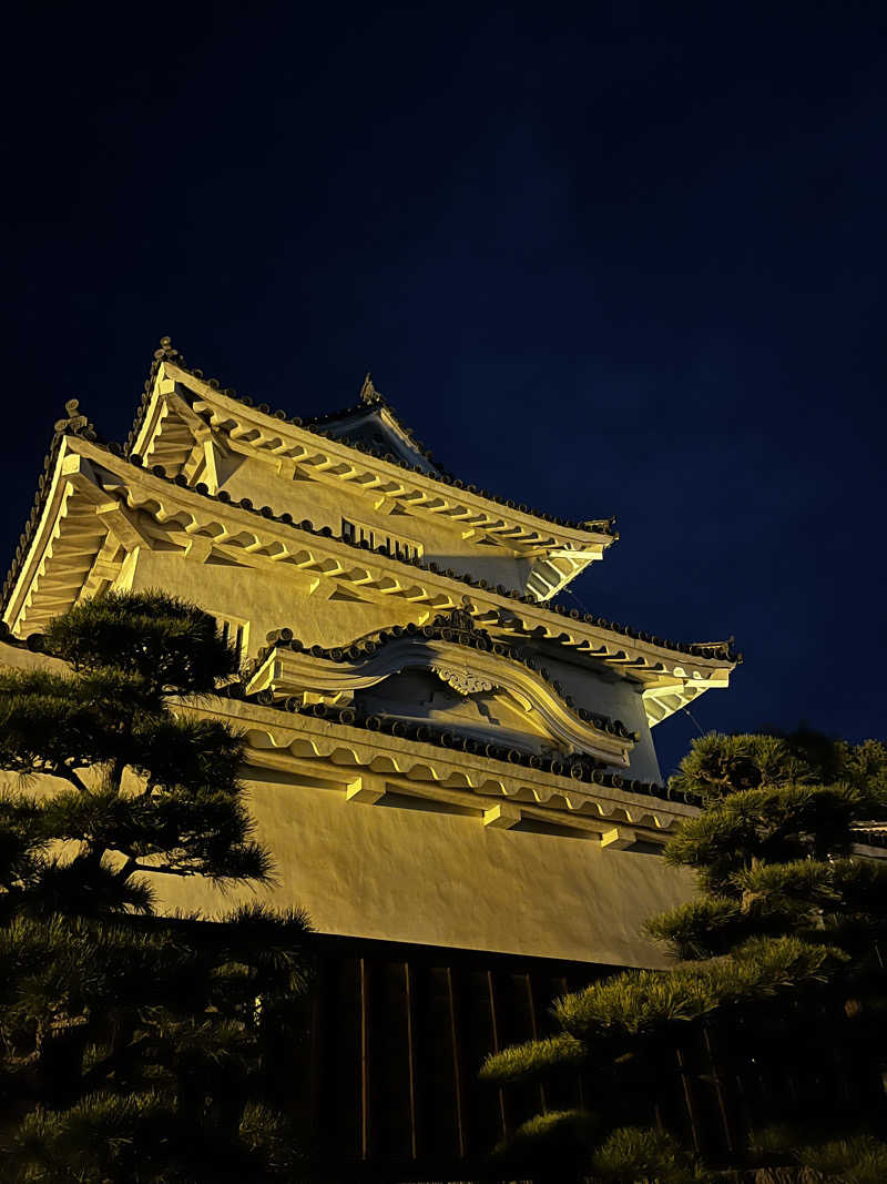 ジェイビーさんの瀬戸大橋四国健康村のサ活写真