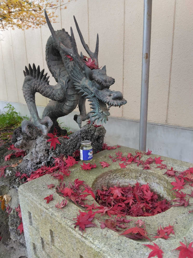 黒竜さんのホテル&薬草風呂 スターらんどのサ活写真