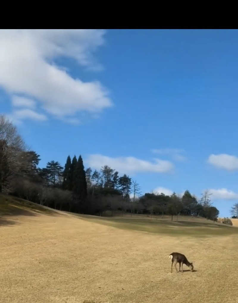 ma2104さんのムロウ36ゴルフクラブのサ活写真