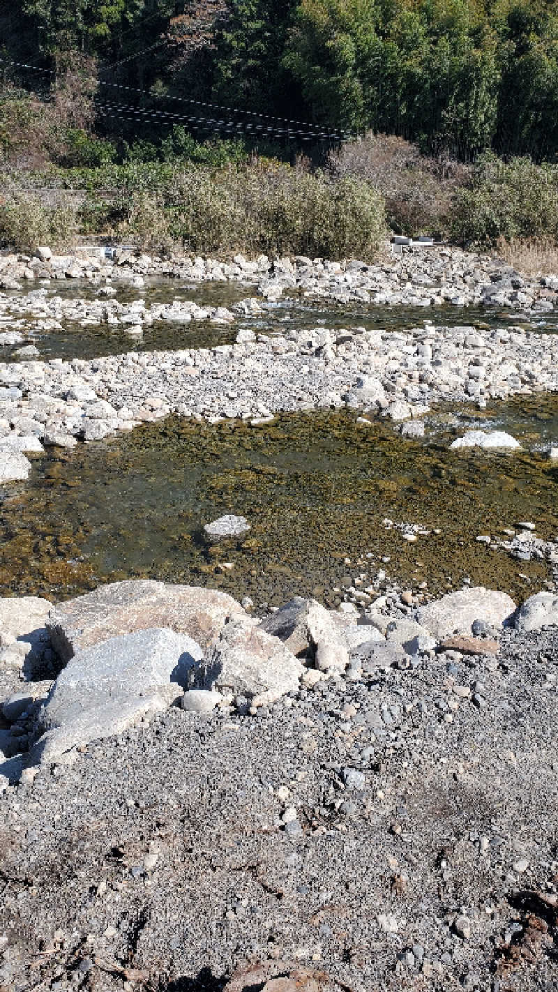 Mr. ADULTSさんのいなかじかんのサ活写真