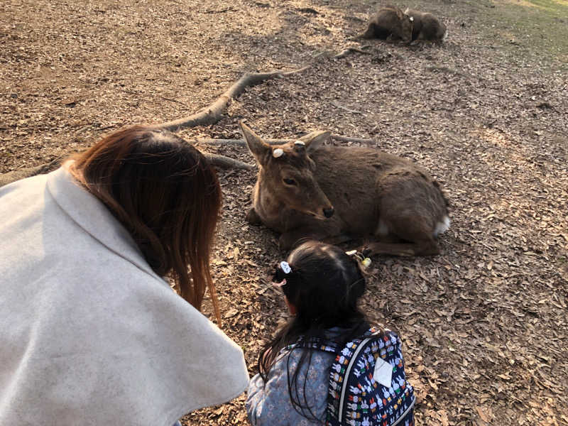 社畜うさぎさんの橿原ぽかぽか温泉のサ活写真