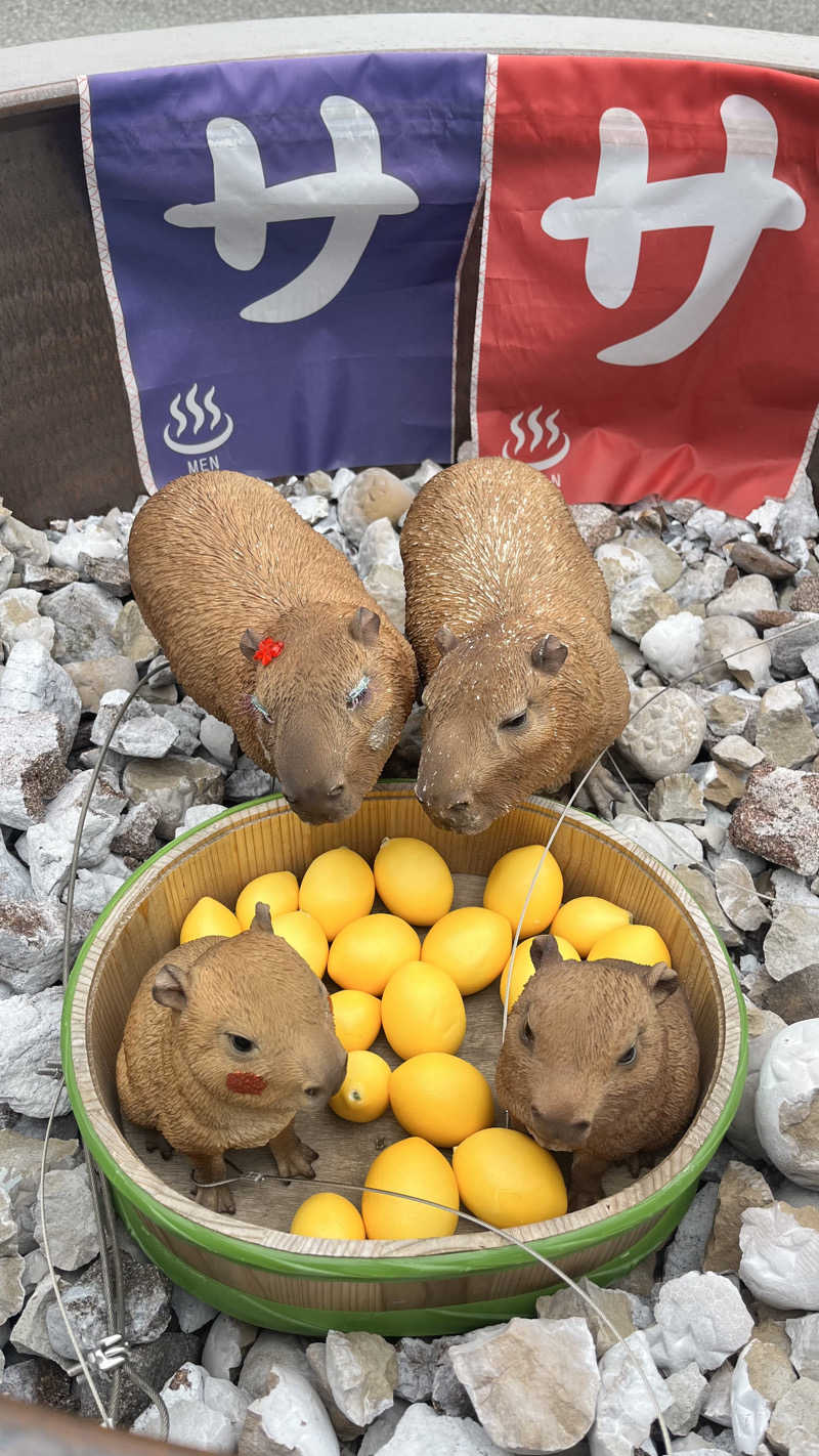 ぷぅさんの富士山天然水SPA サウナ鷹の湯のサ活写真