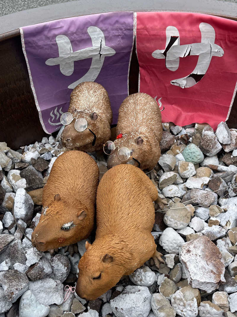 ぷぅさんの富士山天然水SPA サウナ鷹の湯のサ活写真