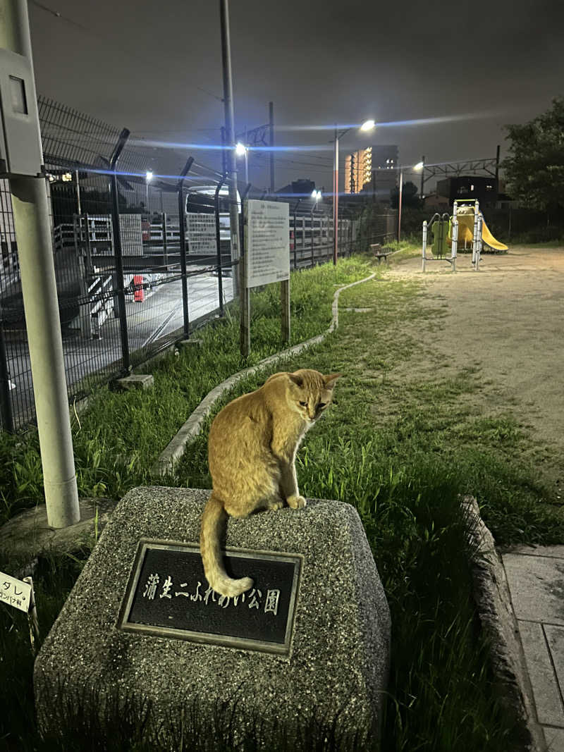 みらんさんのユートピア白玉温泉のサ活写真