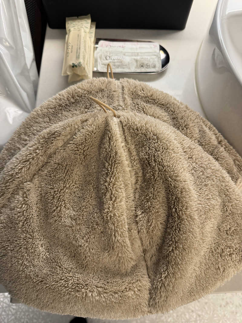 年間半分ホテル暮らしさんのホテル ヴィラフォンテーヌ グランド 大阪梅田のサ活写真