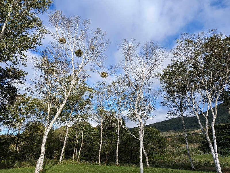 dondocoさんの星降る山荘  七時雨山荘のサ活写真