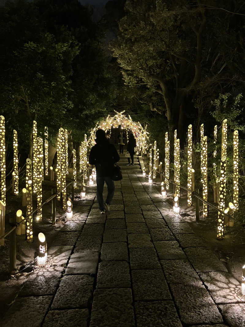 ＲＮさんのよみうりランド眺望温泉 花景の湯のサ活写真