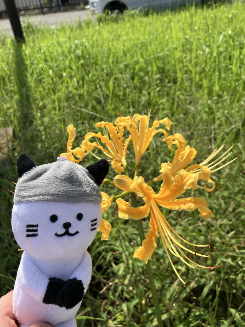 ＲＮさんのJAPAN SAUNA FESTIVALのサ活写真