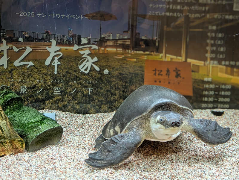 natsu♡さんの松本湯のサ活写真