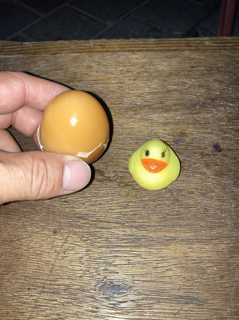 ドラマ24.5 孤独のサ道♨️さんのスプソク漢方ランド(森の中の漢方ランド)のサ活写真