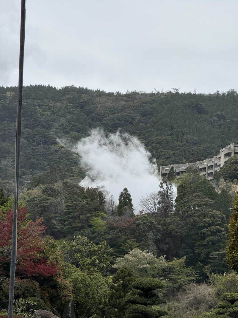 あんばたーさんどさんの硫黄谷温泉 霧島ホテルのサ活写真