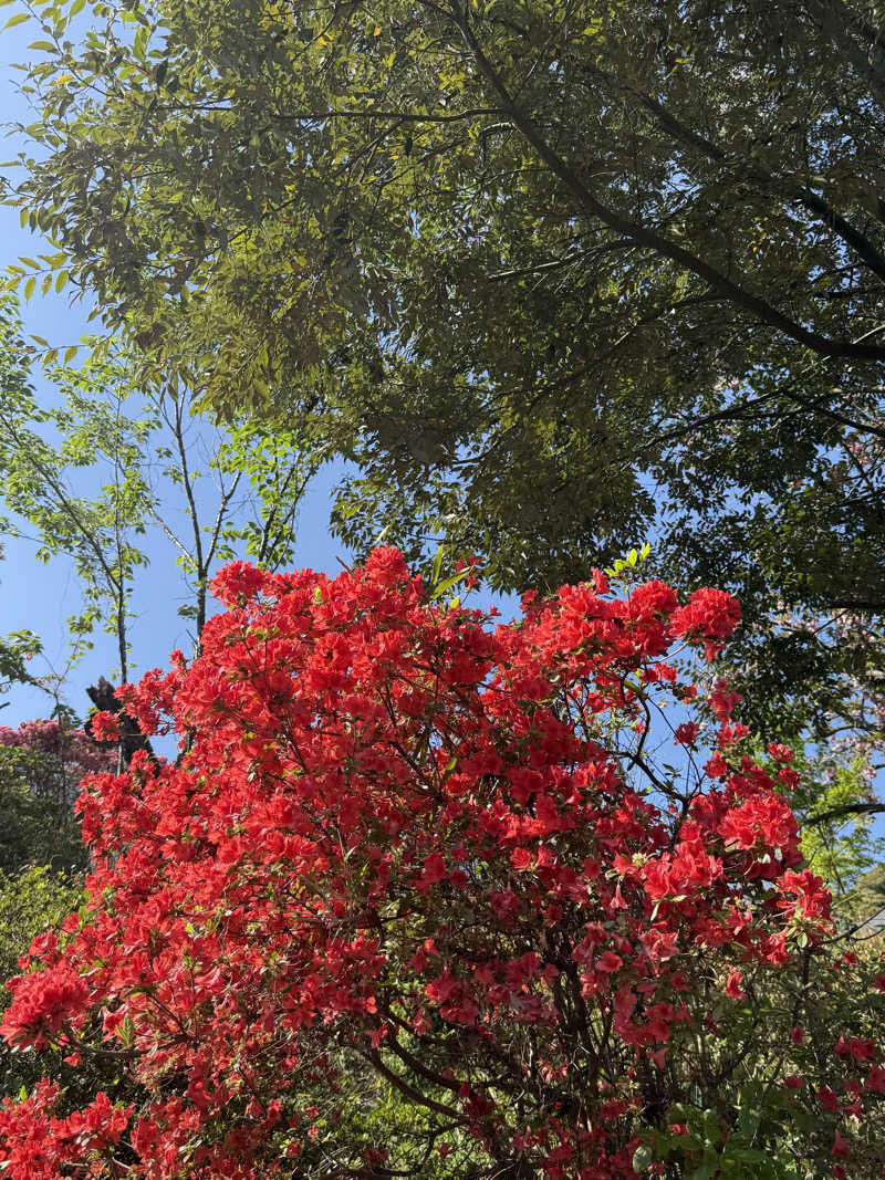 あんばたーさんどさんの御船山楽園ホテル  らかんの湯のサ活写真
