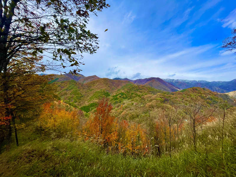 Shinさんの極楽湯 宇都宮店のサ活写真